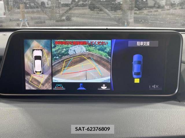 Lexus RX 2017-11 354117-3