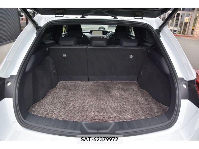 Lexus UX 2020-12 221942-18