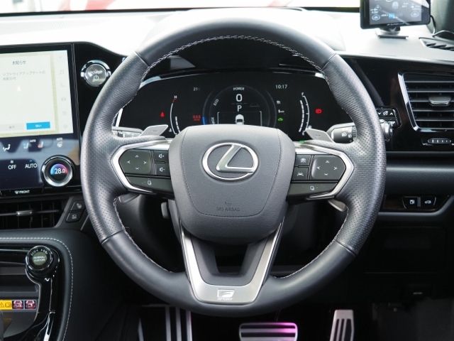 Lexus NX 2022-01 24209-17