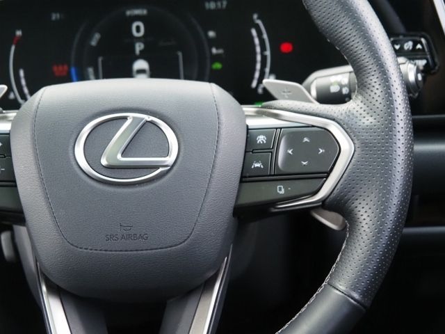 Lexus NX 2022-01 24209-18