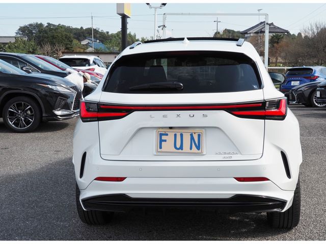 Lexus NX 2022-01 24209-6