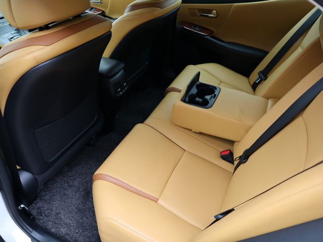Lexus HS 2014-05 187406-11