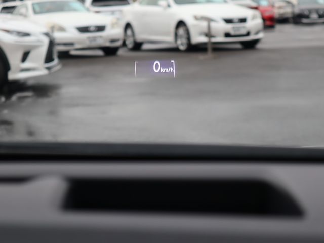 Lexus HS 2014-05 187406-19