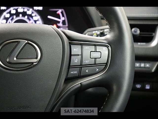 Lexus UX 2019-07 275930-6