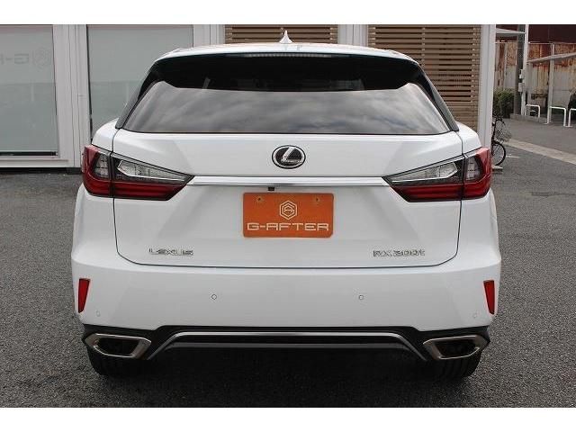 Lexus RX 2017-03 20806-7
