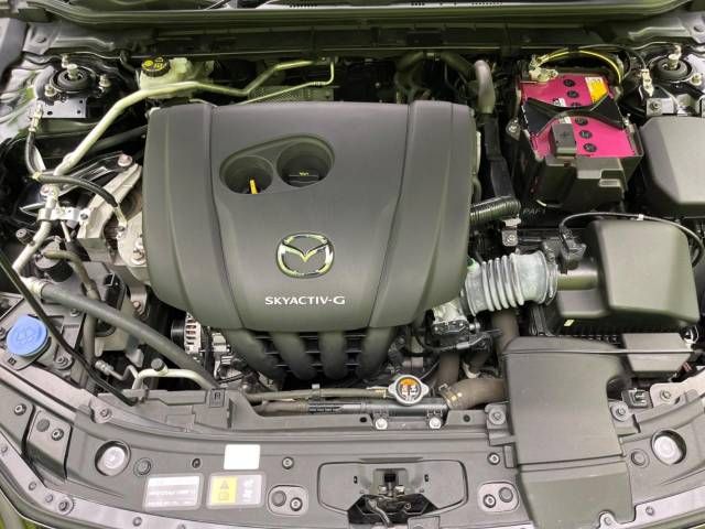 Mazda MAZDA3 2020-09 22141-18
