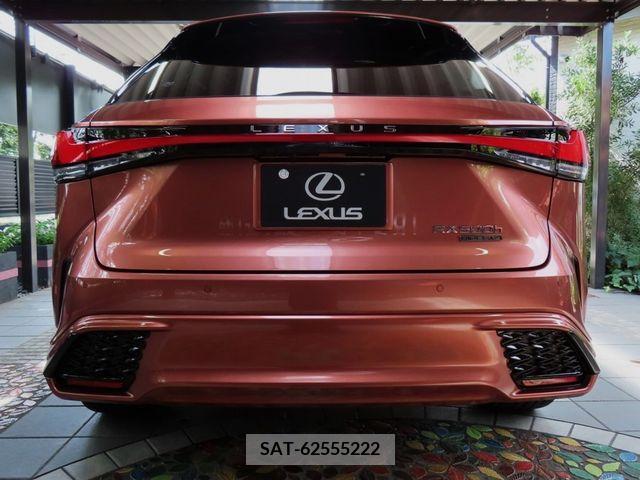Lexus RX 2023-07 220615-5