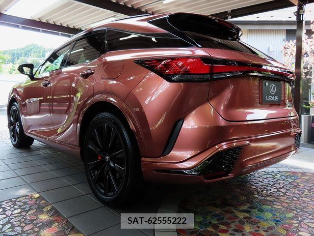 Lexus RX 2023-07 220615-7
