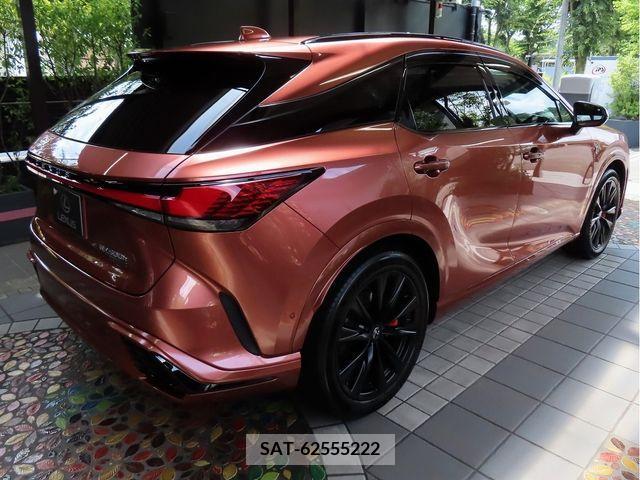 Lexus RX 2023-07 220615-9