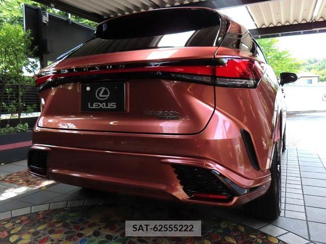 Lexus RX 2023-07 220615-1