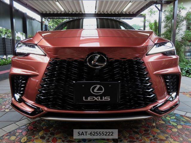 Lexus RX 2023-07 220615-4