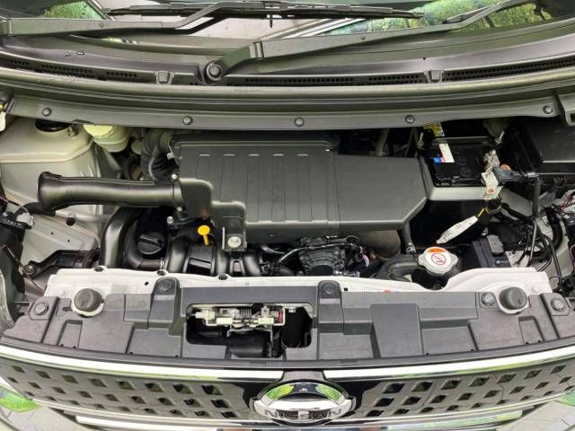 Nissan DAYZ ROOX 2017-08 8805-18