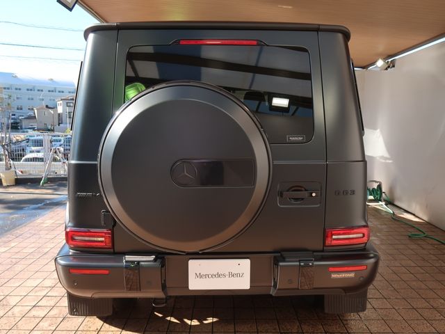 Amg G-CLASS 2019-07 195385-10