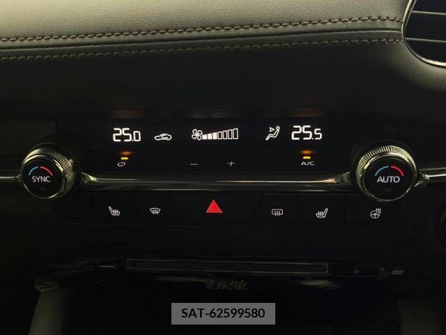 Mazda MAZDA3 2020-01 363272-7