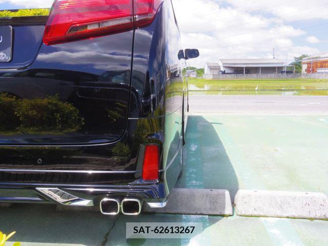 Toyota ALPHARD 2018-09 259056-6