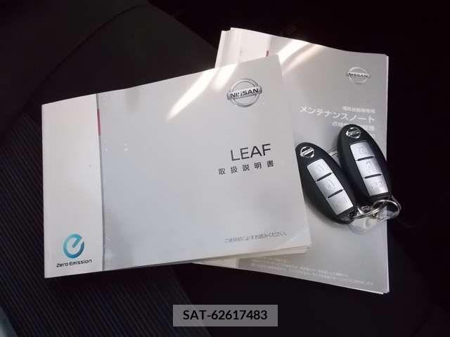 Nissan LEAF 2019-03 225108-5