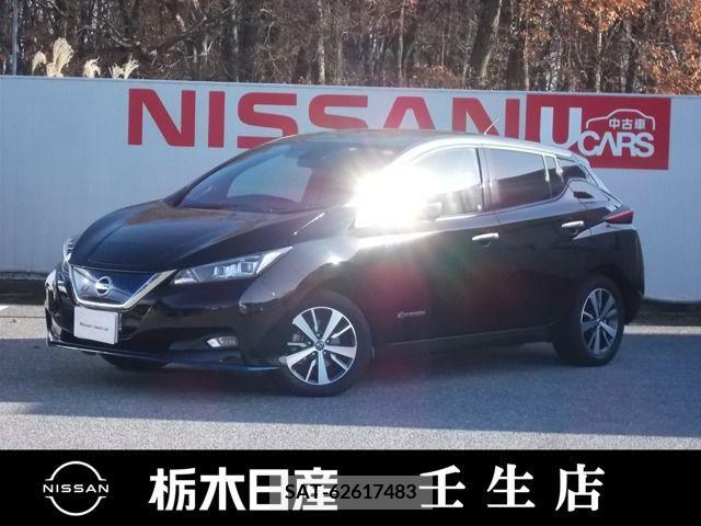 Nissan LEAF 2019-03 225108-0