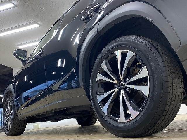 Lexus NX 2018-04 15847-18