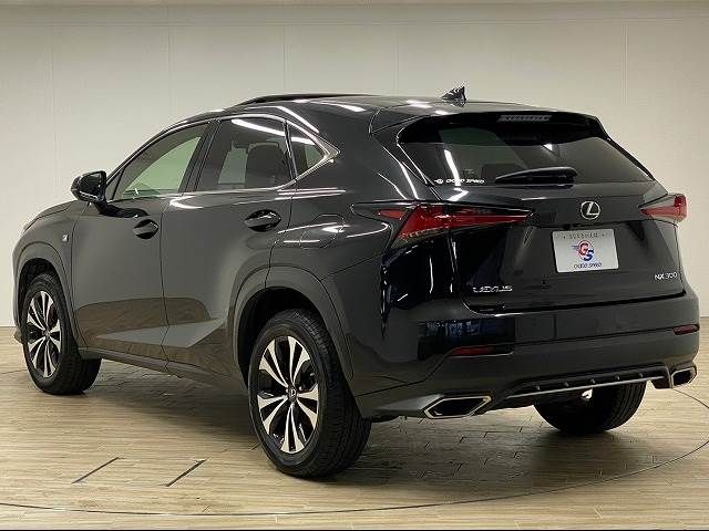 Lexus NX 2018-04 15847-14