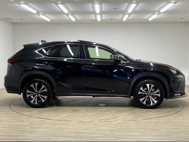 Lexus NX 2018-04 15847-16