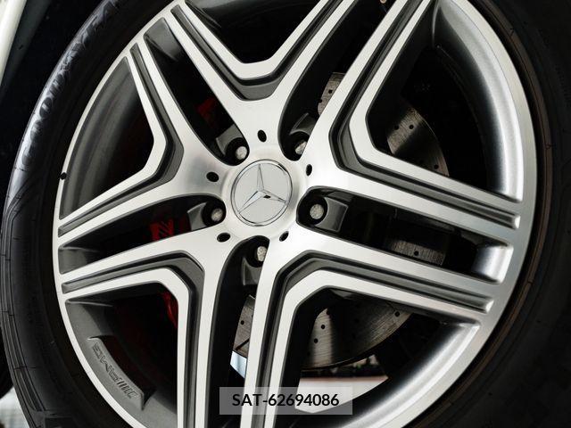 Amg G-CLASS 2017-01 319024-3