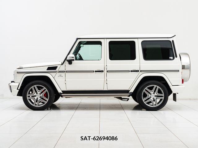 Amg G-CLASS 2017-01 319024-10