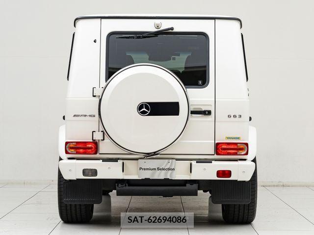Amg G-CLASS 2017-01 319024-9
