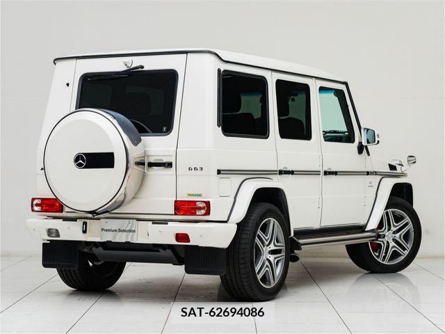 Amg G-CLASS 2017-01 319024-8