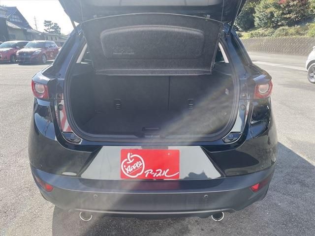 Mazda CX-3 2018-09 193887-23