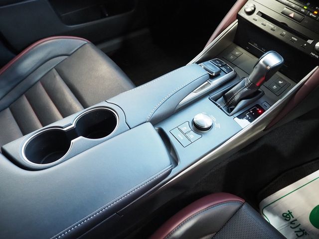 Lexus IS 2017-03 194185-13
