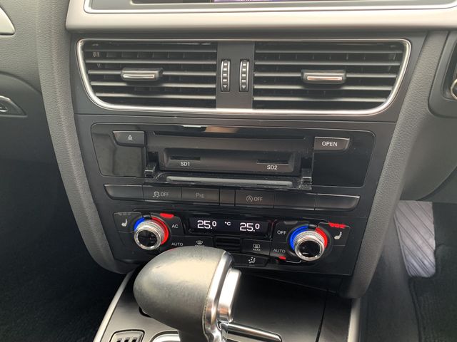 Audi A4 2014-03 181403-9