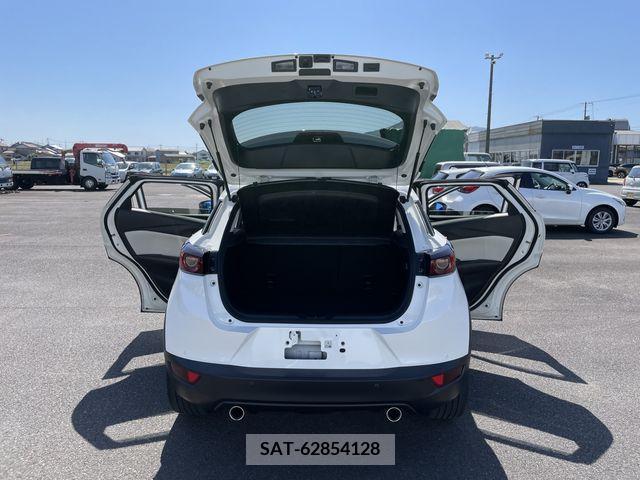 Mazda CX-3 2019-06 265646-10