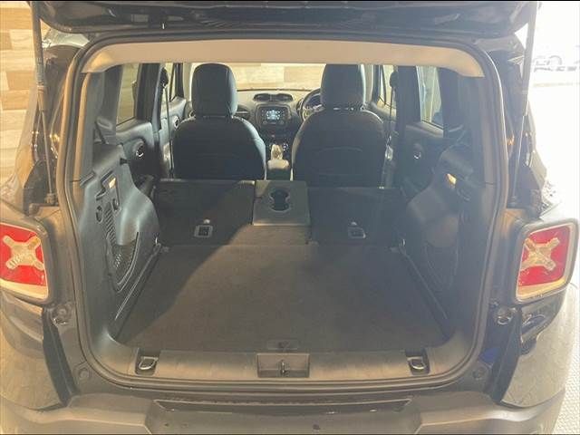 Jeep RENEGADE 2017-04 16570-12