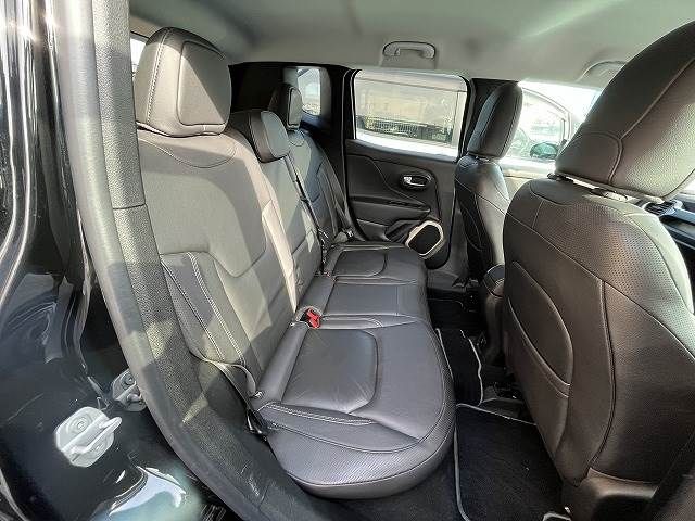 Jeep RENEGADE 2017-04 16570-5