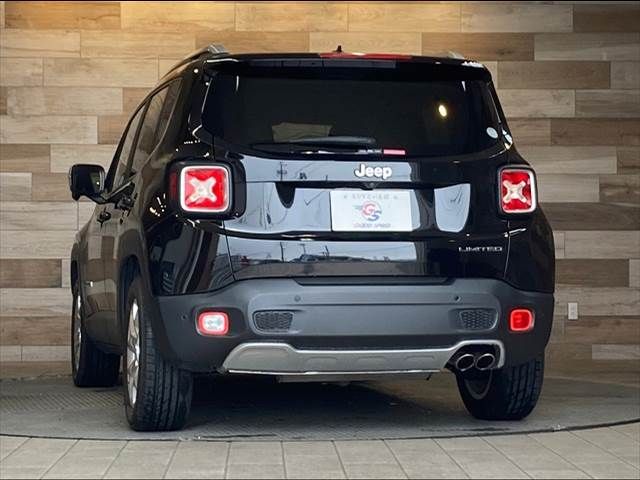 Jeep RENEGADE 2017-04 16570-15