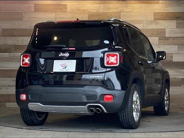 Jeep RENEGADE 2017-04 16570-16