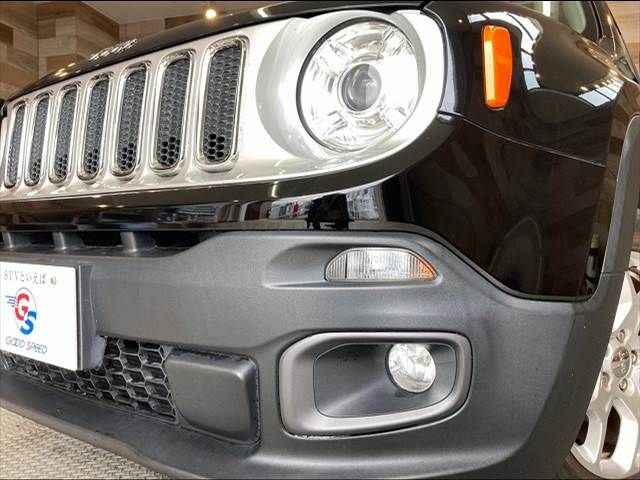 Jeep RENEGADE 2017-04 16570-19