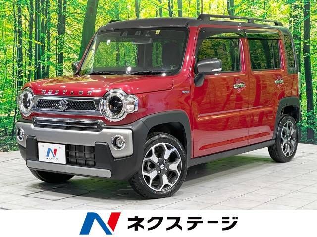 Suzuki HUSTLER 2021-06 18739-0
