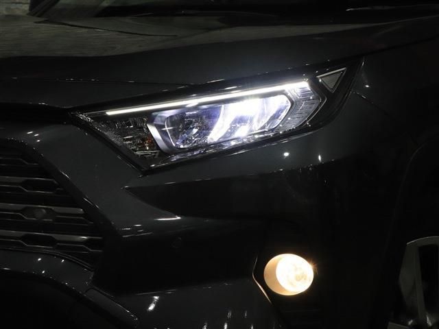 Toyota RAV4 2019-12 118-7