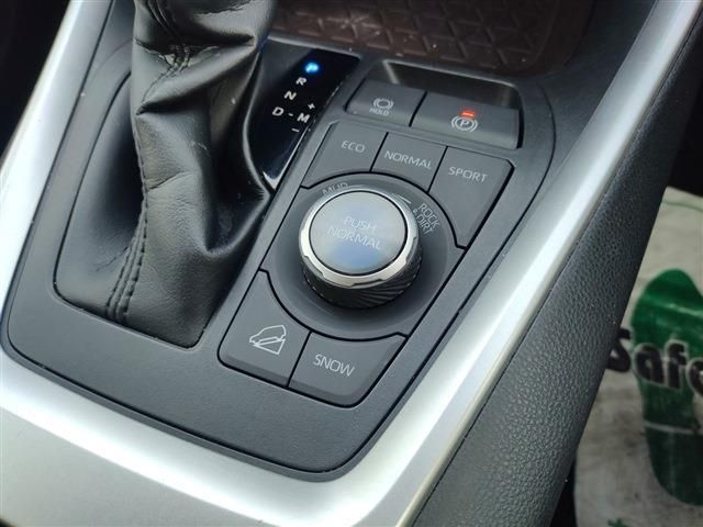 Toyota RAV4 2019-12 118-14
