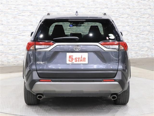 Toyota RAV4 2019-12 118-6