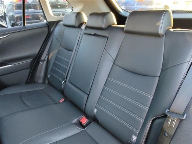 Toyota RAV4 2019-12 118-17