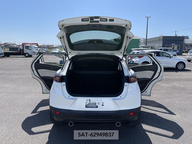 Mazda CX-3 2019-06 295622-10
