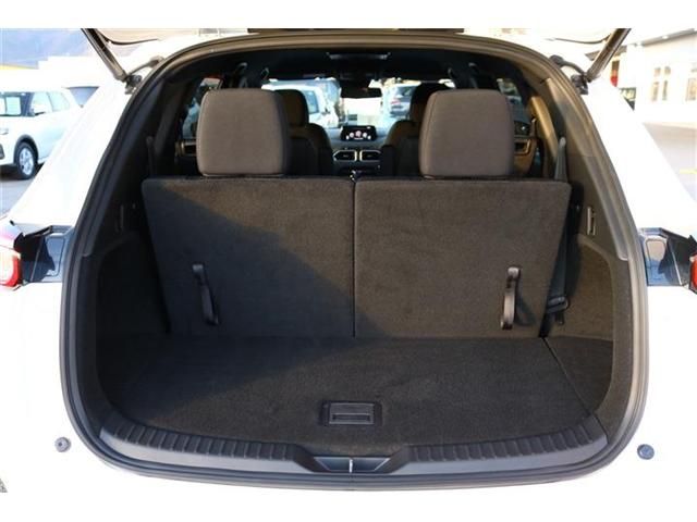Mazda CX-8 2018-12 182839-26