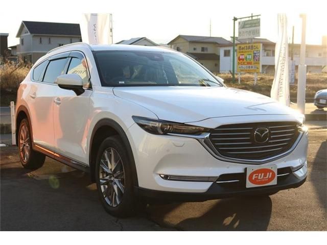 Mazda CX-8 2018-12 182839-2
