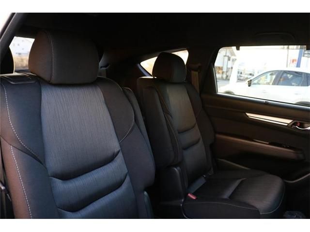 Mazda CX-8 2018-12 182839-22