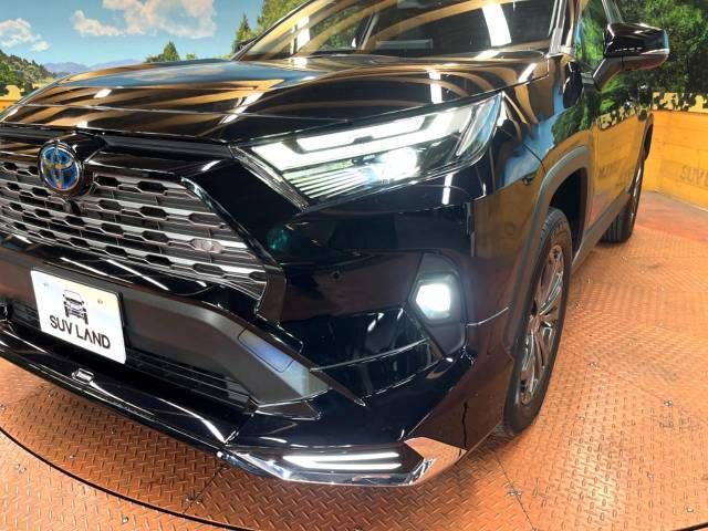 Toyota RAV4 2022-03 17699-13