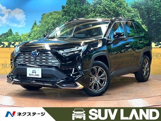 Toyota RAV4 2022-03 17699-0