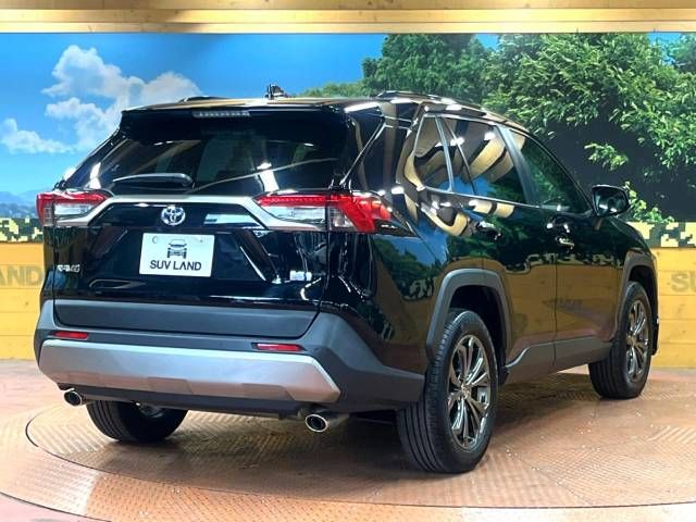 Toyota RAV4 2022-03 17699-17