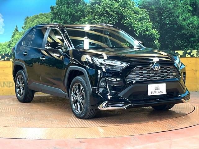 Toyota RAV4 2022-03 17699-16